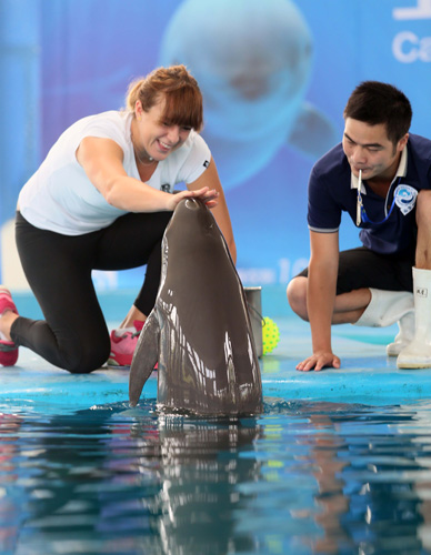 传球不仅增 传球不仅增