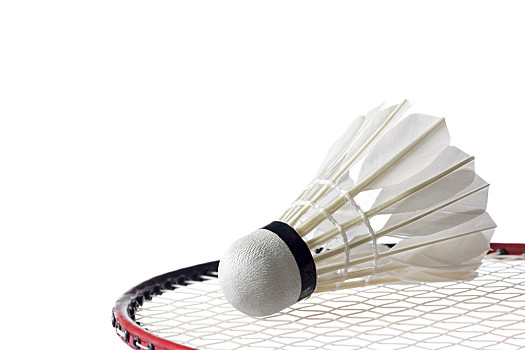 管理层清楚 管理层清楚