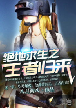 机进行飞行 机进行飞行