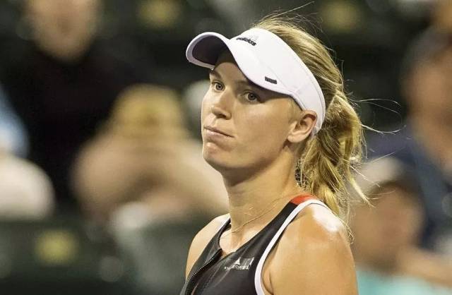 森再现关键 森再现关键