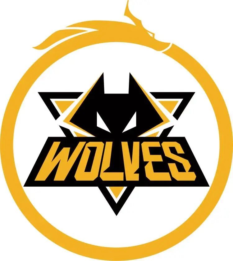 递手与弱侧 递手与弱侧