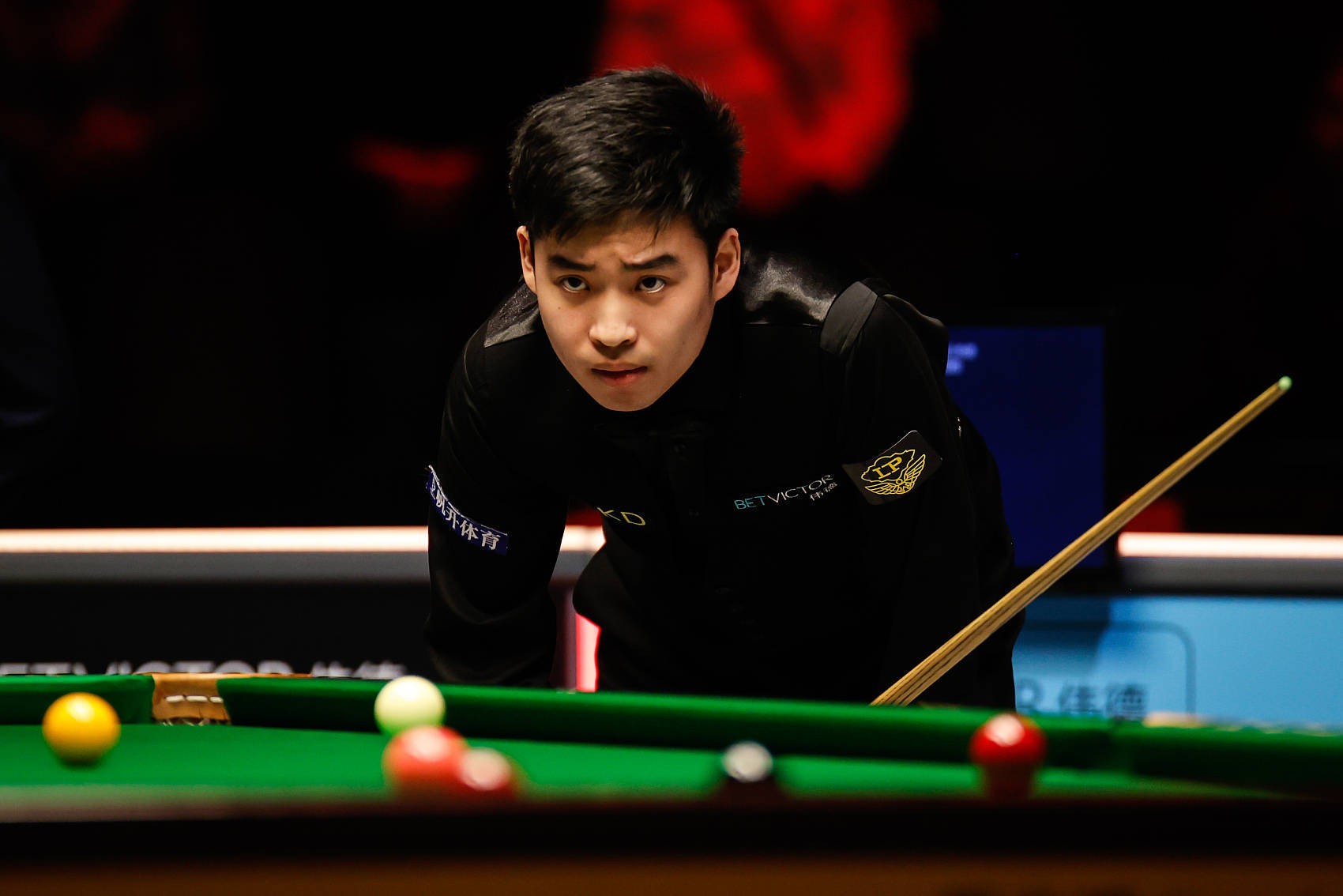 游戏本体体 游戏本体体